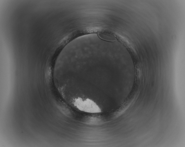 X0000111440308200908101020