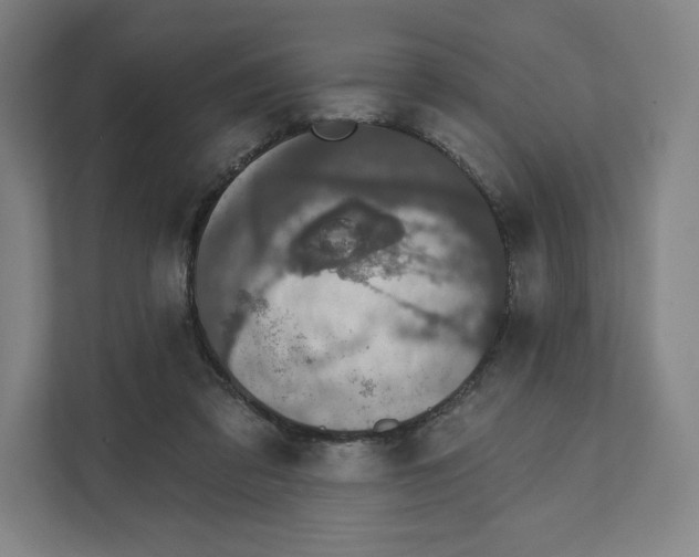 X0000111440309200908101020