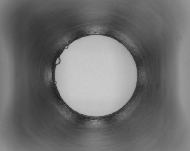 X0000111440310200908101020