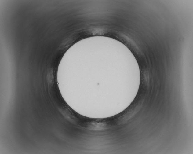 X0000111440311200908101020