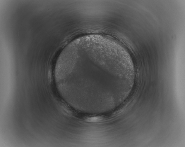 X0000111440312200908101020