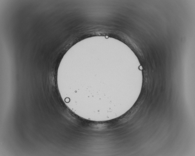 X0000111440313200908101020