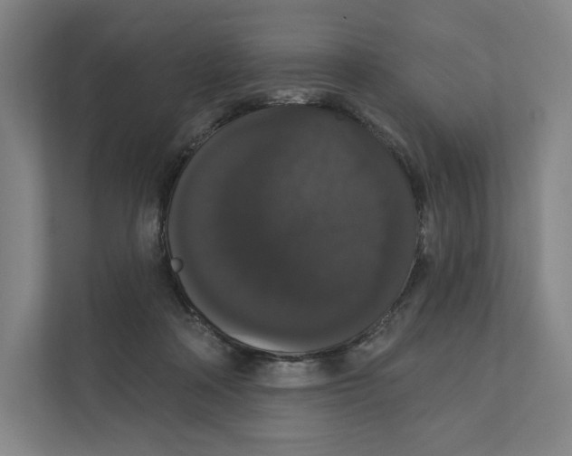 X0000111440314200908101020