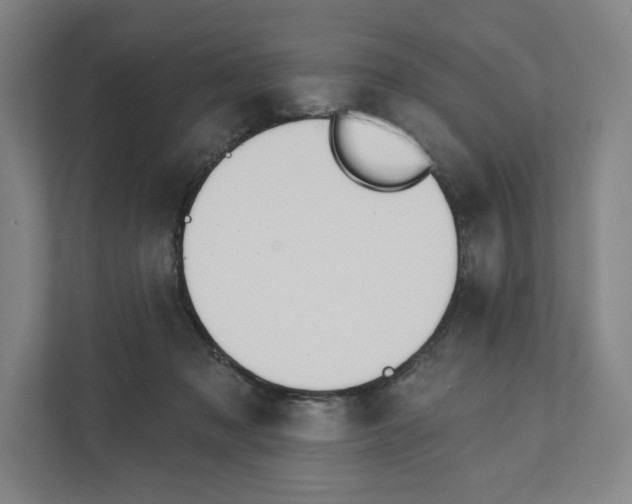 X0000111440317200908101020