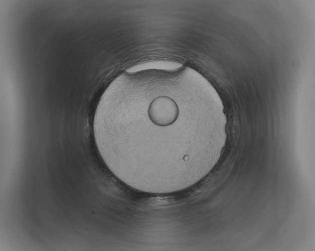 X0000111440320200908101020