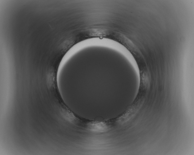 X0000111440322200908101020