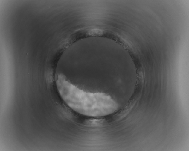 X0000111440323200908101020