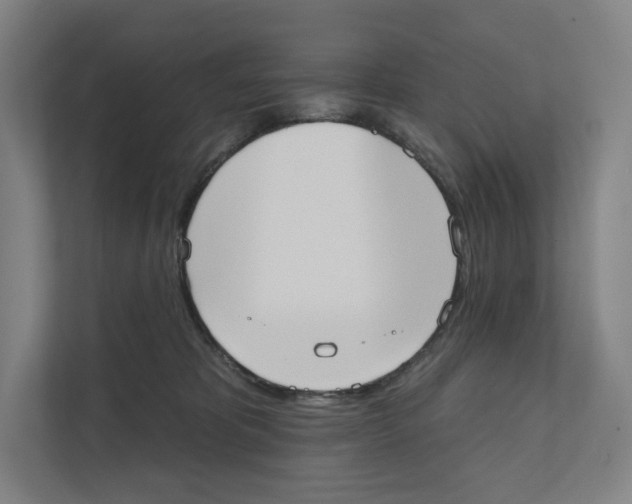 X0000111440325200908101020