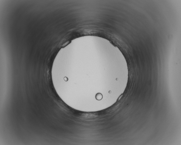 X0000111440327200908101019