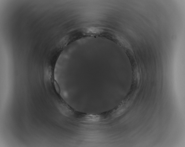 X0000111440328200908101019