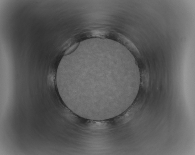 X0000111440329200908101019