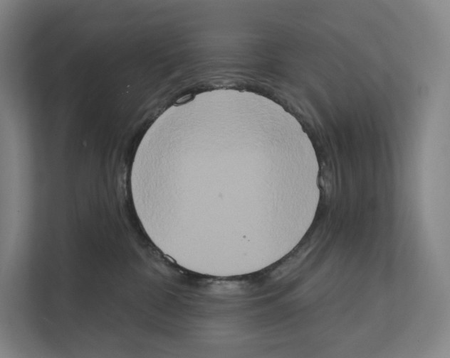 X0000111440332200908101019