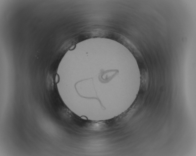 X0000111440333200908101019