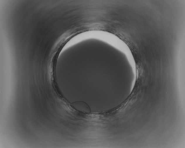 X0000111440339200908101019