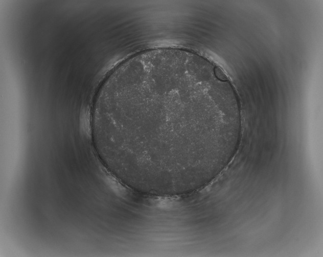 X0000111440345200908101019