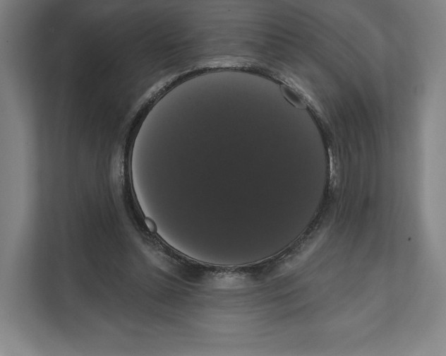 X0000111440348200908101019