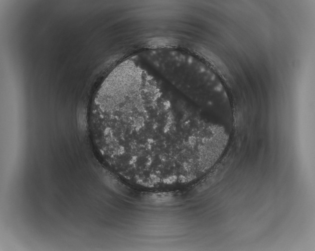 X0000111440353200908101019