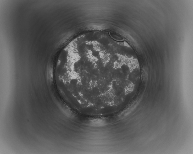 X0000111440358200908101019