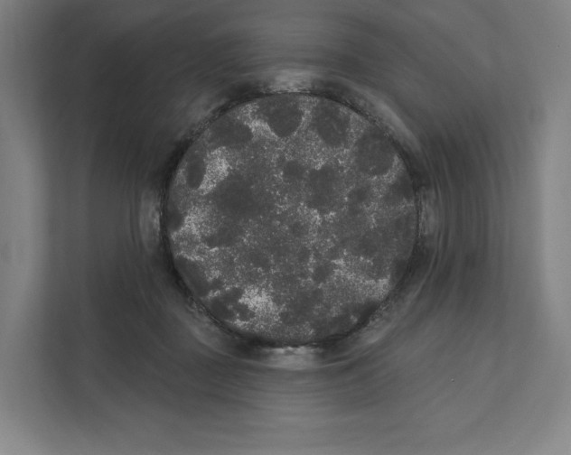 X0000111440363200908101019