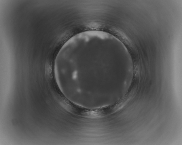 X0000111440365200908101019