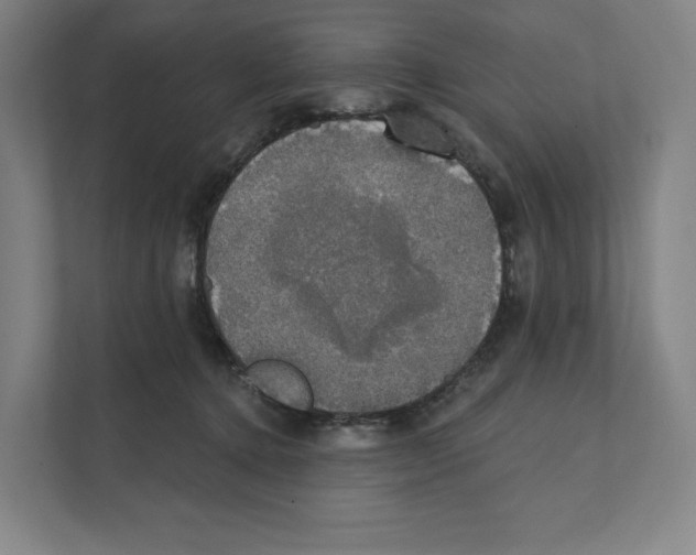 X0000111440368200908101019