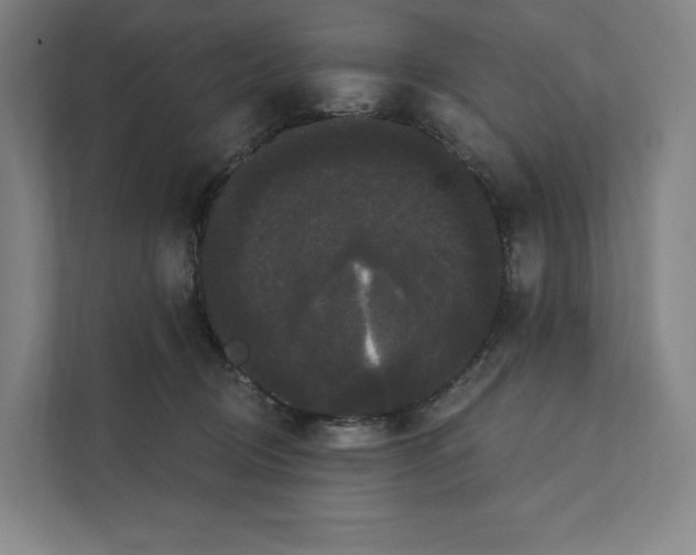 X0000111440370200908101019