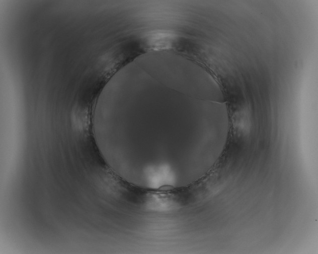 X0000111440372200908101019