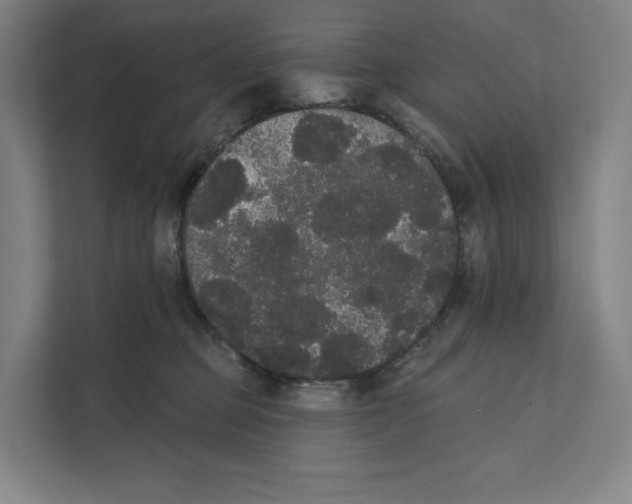 X0000111440373200908101019