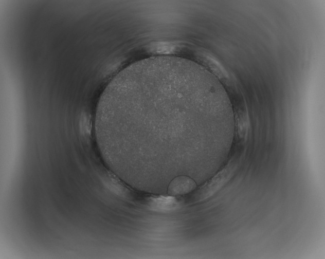 X0000111440374200908101019