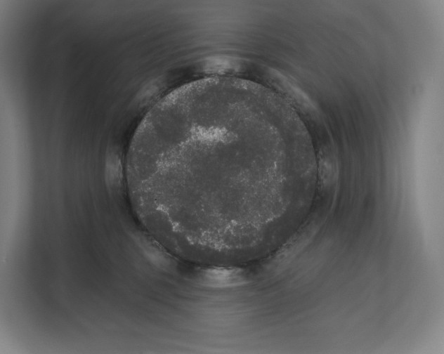 X0000111440375200908101019