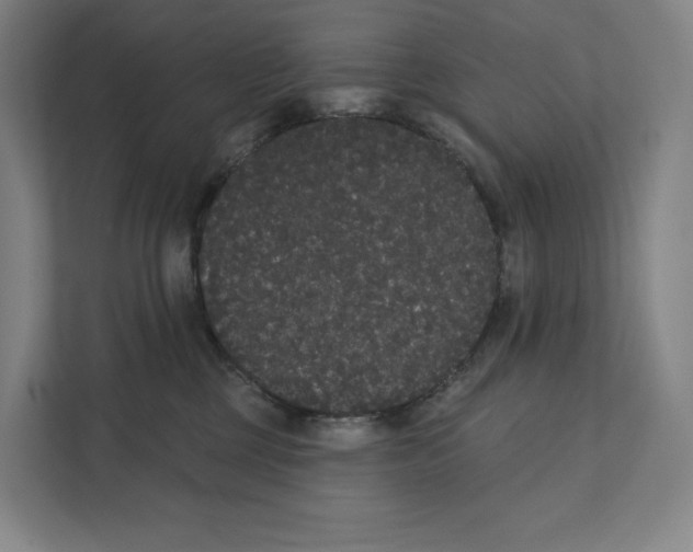 X0000111440377200908101019