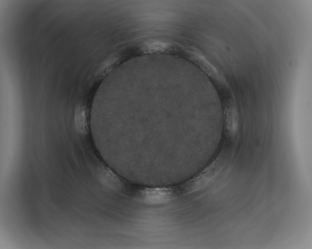 X0000111440378200908101019