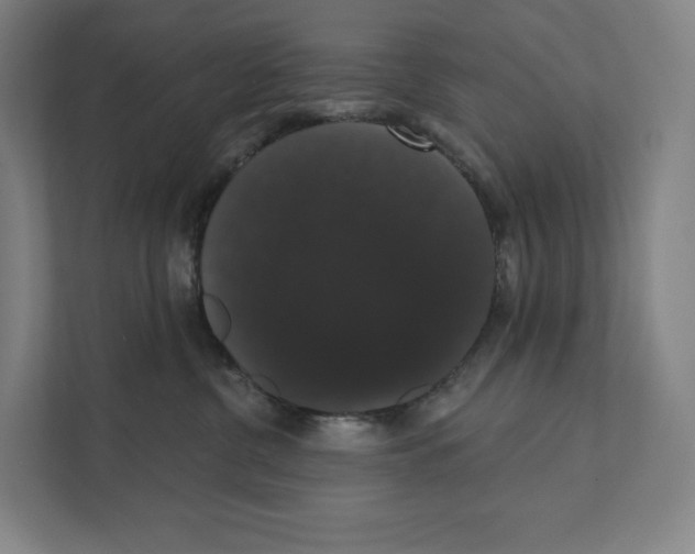 X0000111440380200908101019