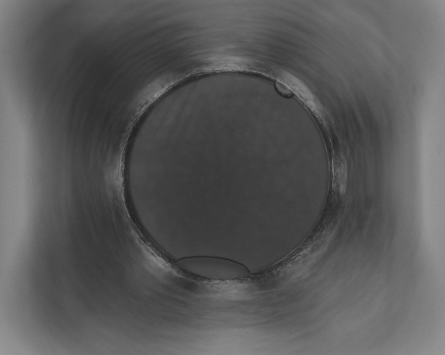 X0000111440389200908101019