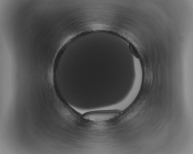 X0000111440391200908101019