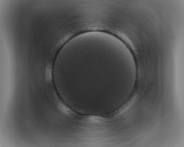 X0000111440393200908101019