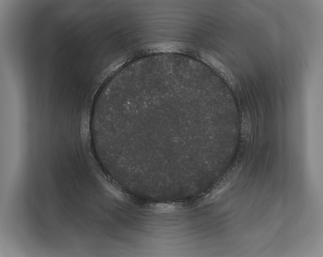 X0000111440394200908101019