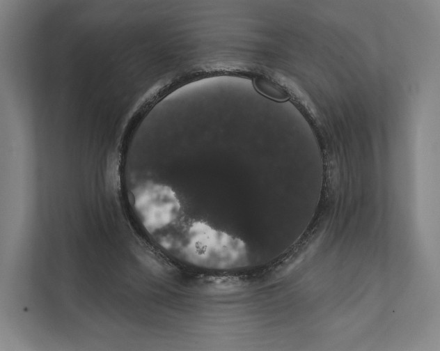 X0000111440395200908101019