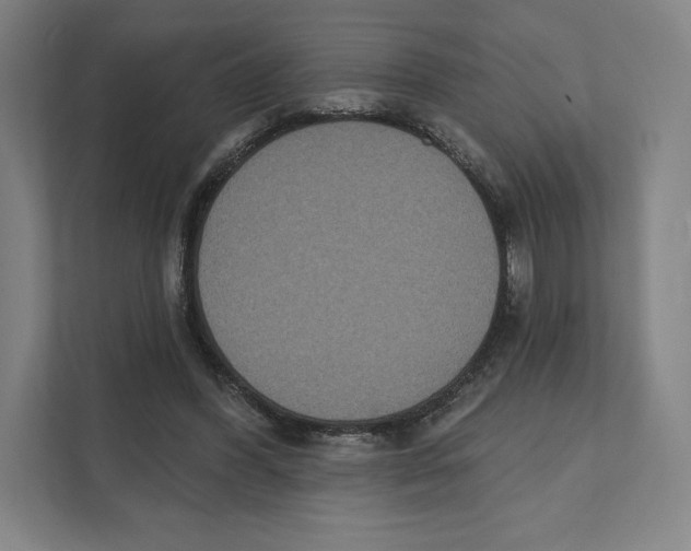 X0000111440396200908101019