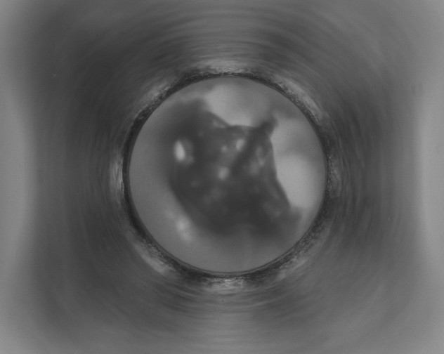 X0000111440398200908101019