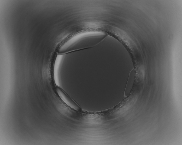 X0000111440399200908101019