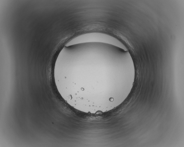 X0000111440403200908101018