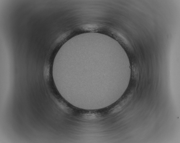 X0000111440404200908101018