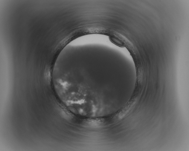 X0000111440405200908101018