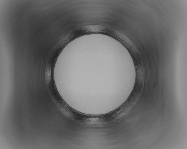 X0000111440406200908101018