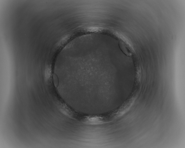 X0000111440407200908101018