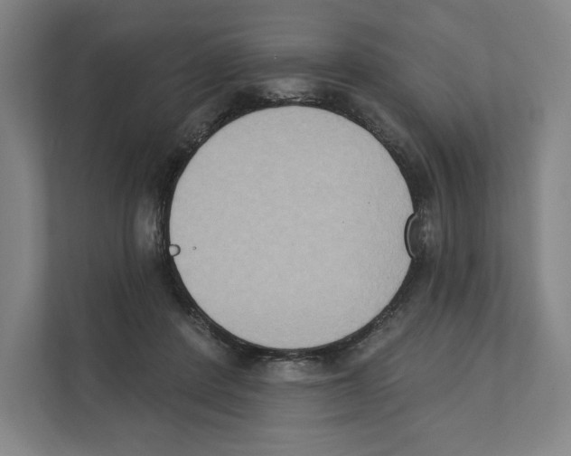 X0000111440408200908101018