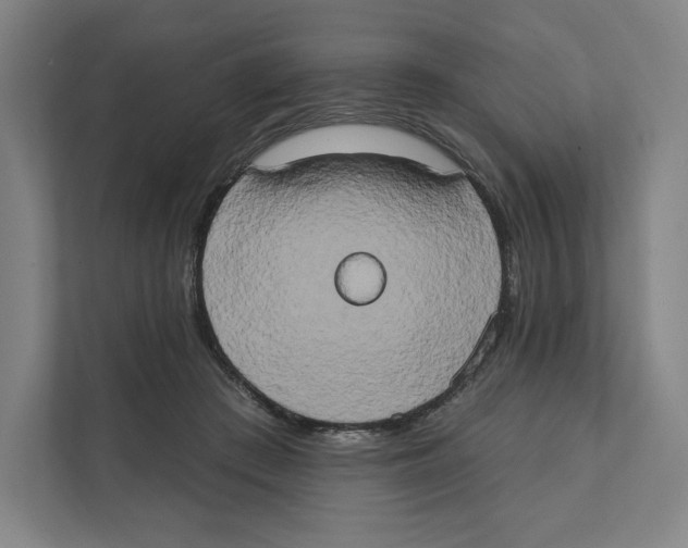 X0000111440409200908101018