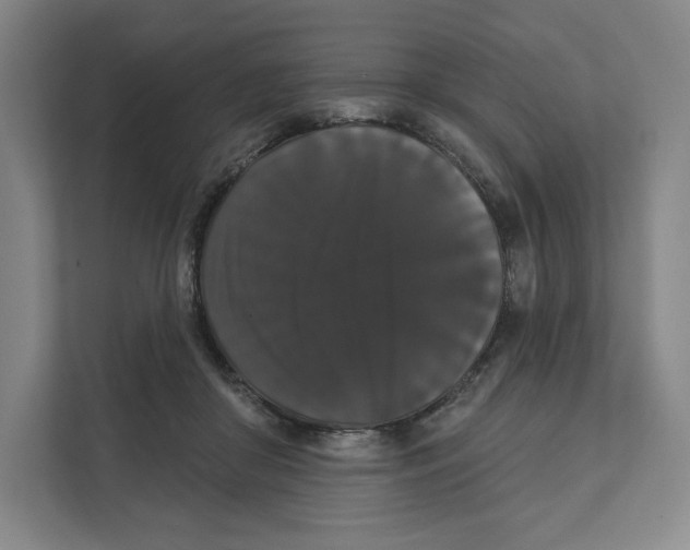 X0000111440410200908101018