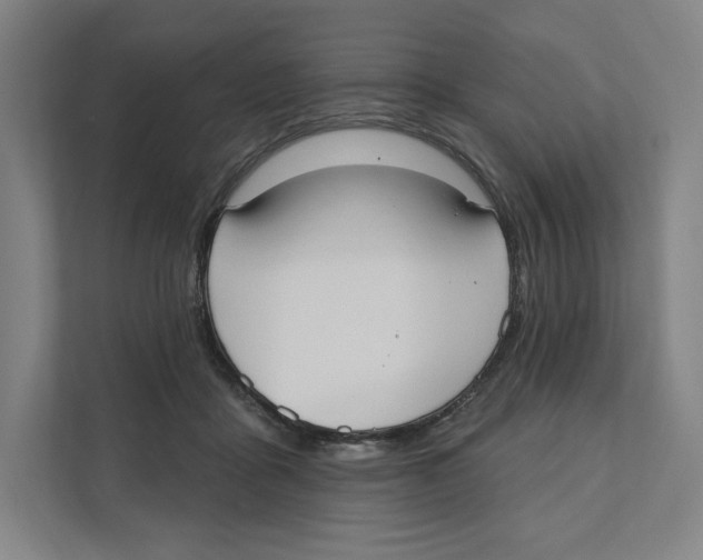 X0000111440411200908101018